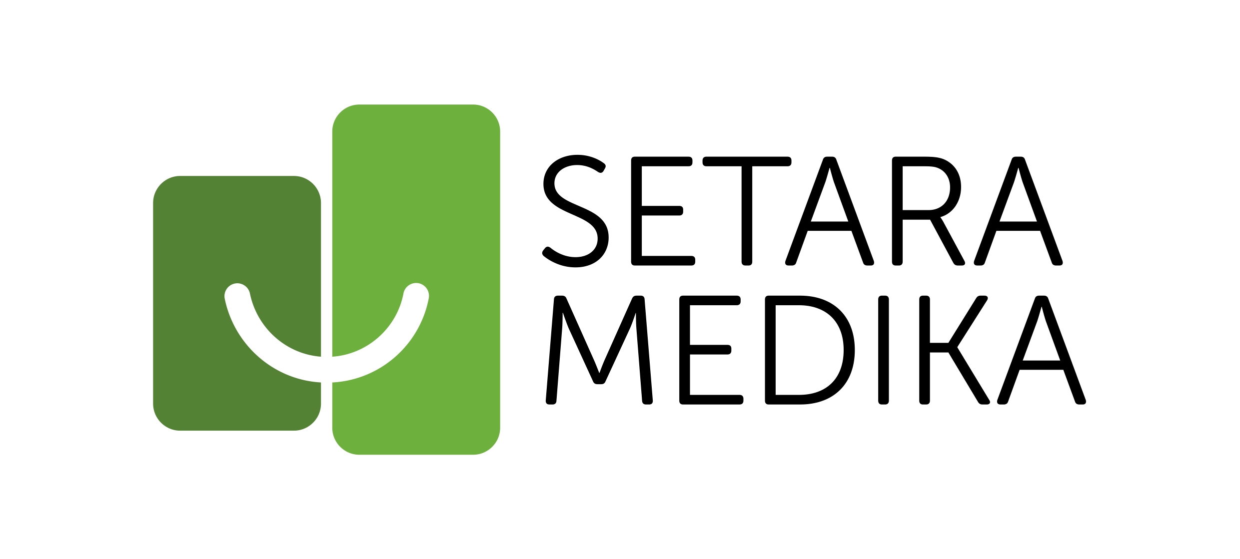 Logo Setara Medika